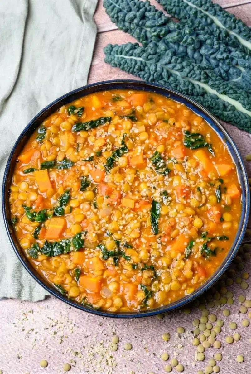 High Protein Lentil Soup (2)